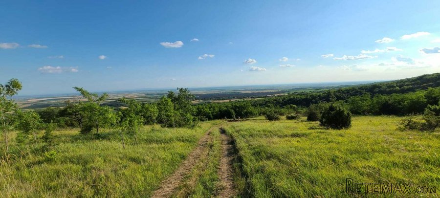 Zemljište 9200 m2 iznad sela Jazak, Fruška gora