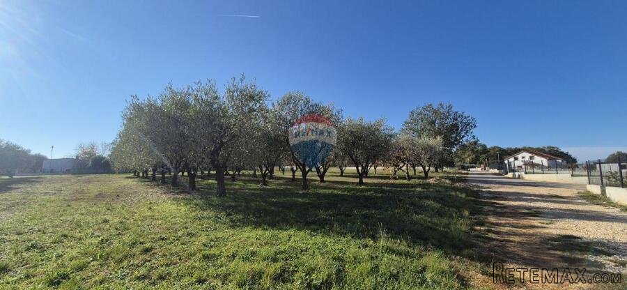 Istra, Poreč - okolica, građevinsko zemljište za izgradnju k
