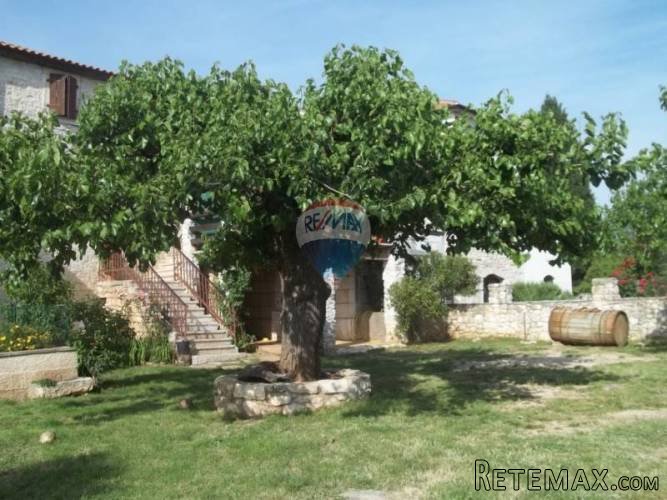 VIŠNJAN okolica-kamena kuća - 2