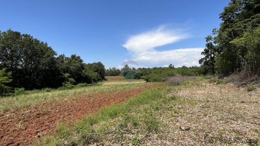 Kaštelir, okolica - poljoprivredno zemljište ukupne kvadratu
