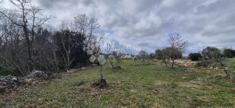 Građevinsko zemljište na samo 1,5 km od mora sa 6 stoljetnih - 3