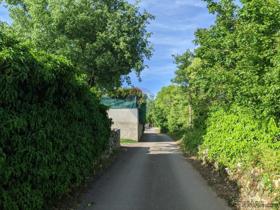 Istra, Rovinjsko Selo - šuma - 7