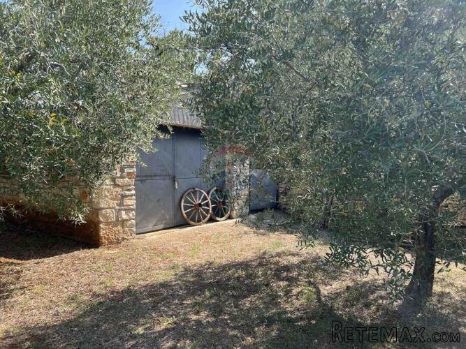 Istra,Galižana - uređeno imanje sa tri kuće - 8
