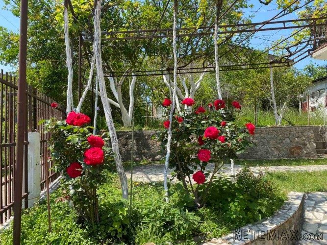Šušanj-Bar. Izdajem 2 apartmana po 70 m² - 2