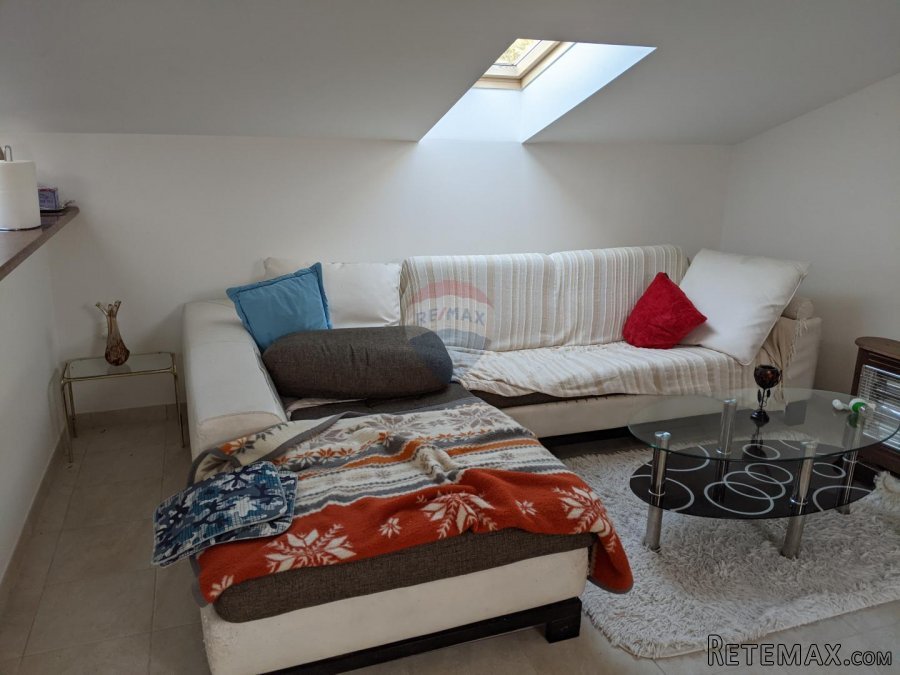 Rovinj okolica - kuća s 3 stana, 2 garaže, parcela 2140m2 - 4