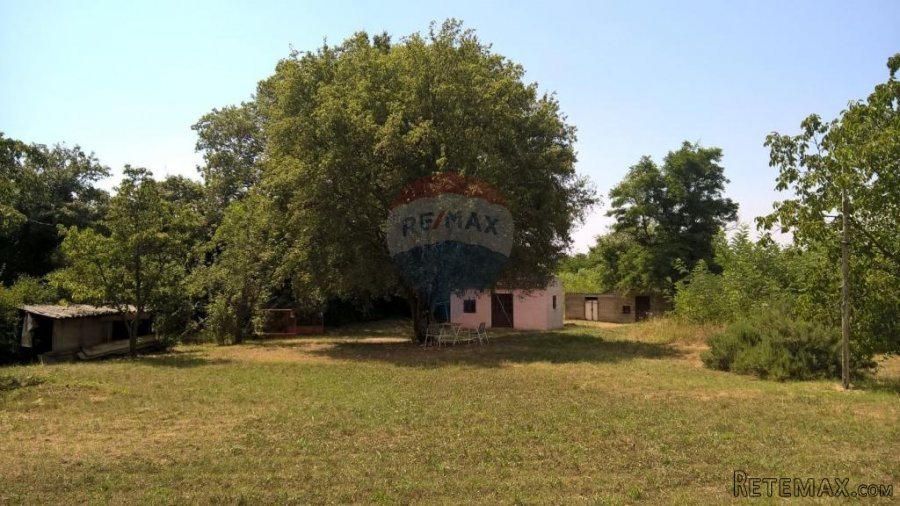 Baderna, Imanje, 30 500m2 - 2