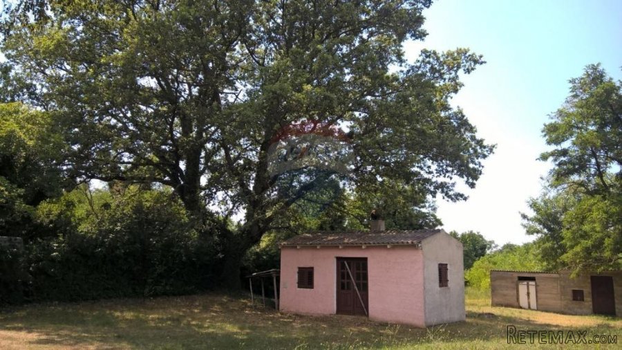 Baderna, Imanje, 30 500m2 - 3