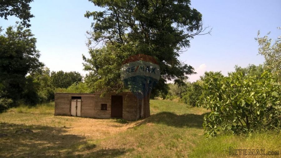 Baderna, Imanje, 30 500m2 - 4