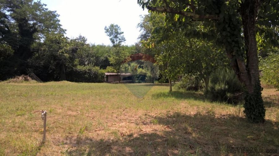 Baderna, Imanje, 30 500m2 - 6