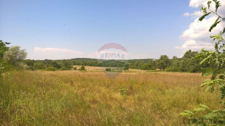 Baderna, Imanje, 30 500m2 - 7
