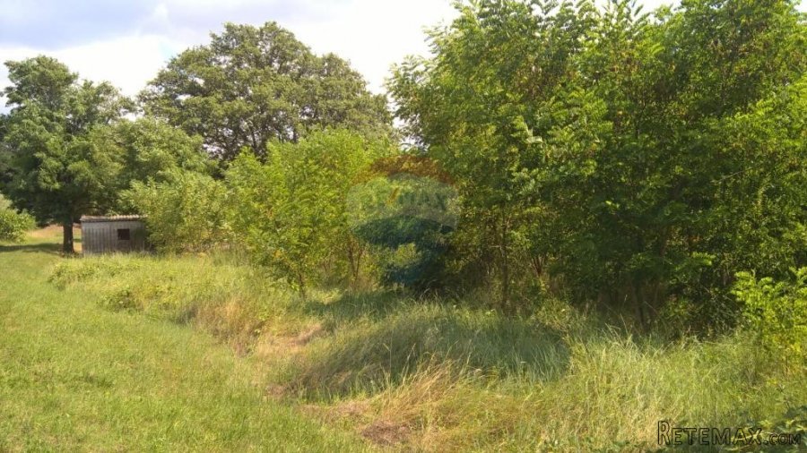 Baderna, Imanje, 30 500m2 - 9