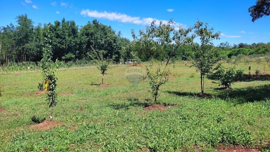 Istra,Brtonigla-Poljoprivredno zemljište,struja voda na tere - 2