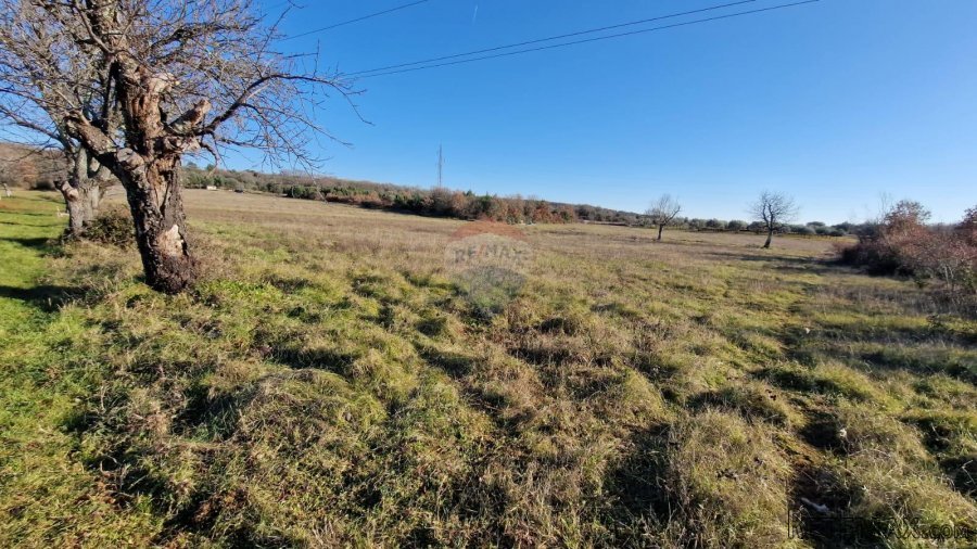 Istra, Rovinjsko Selo, poljoprivredno zemljište 27672m2 - 2