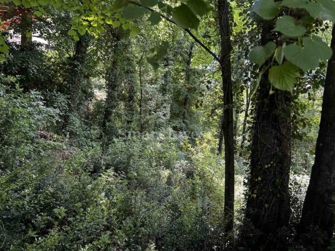 MATULJI, 2 zemljišta za poslovno-stambenu gradnju - 2