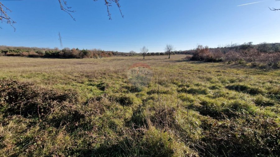 Istra, Rovinjsko Selo, poljoprivredno zemljište 27672m2 - 3