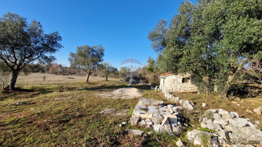 Istra, Rovinjsko Selo, poljoprivredno zemljište 27672m2 - 4