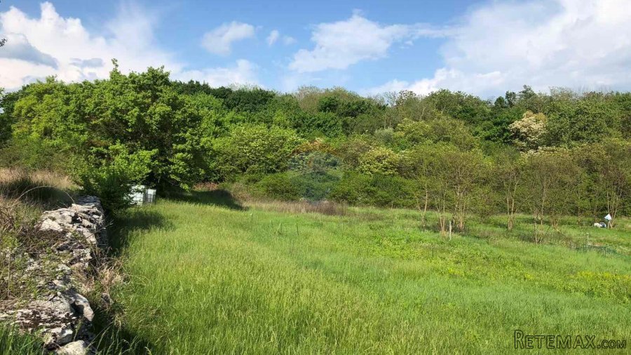 Istra, Tinjan, poljoprivredno zemljište 3928 m2 - 3