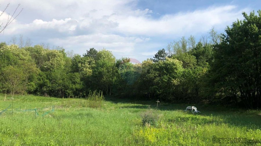 Istra, Tinjan, poljoprivredno zemljište 3928 m2 - 4