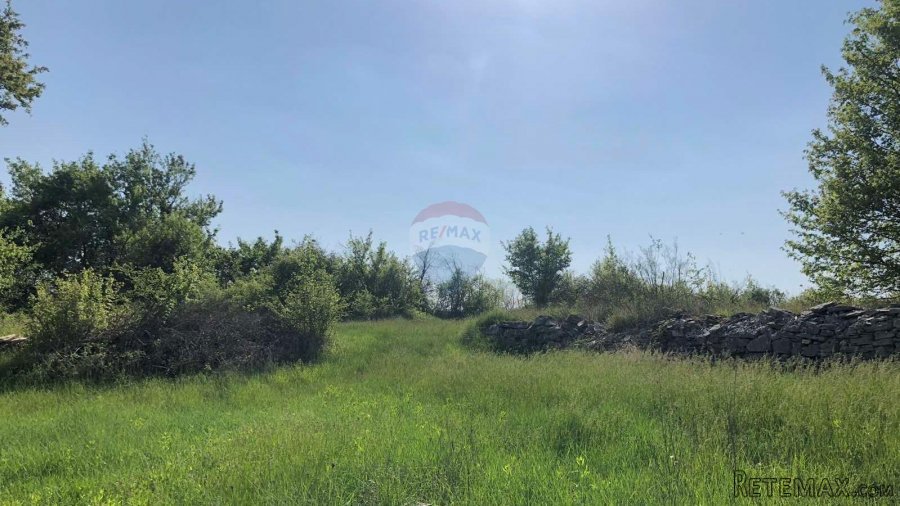 Istra, Tinjan, poljoprivredno zemljište 3928 m2 - 5