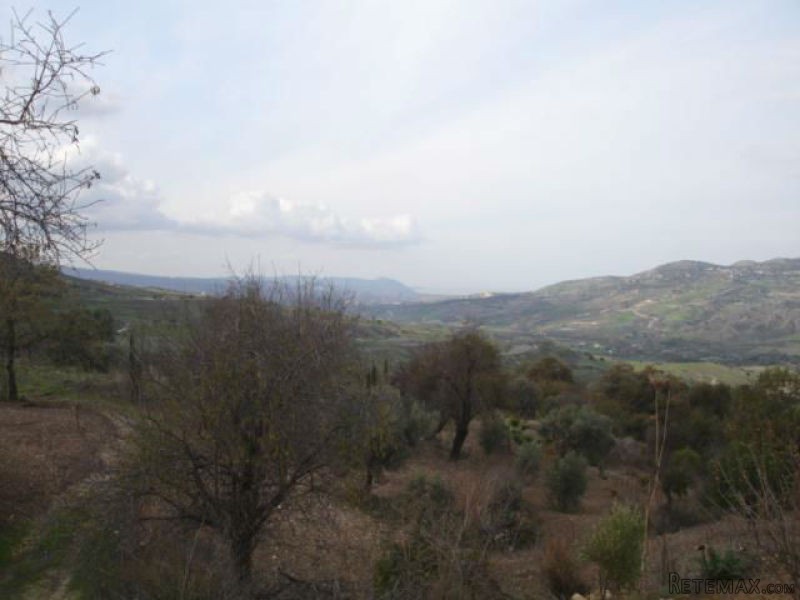 Land - Paphos - For Sale - 2