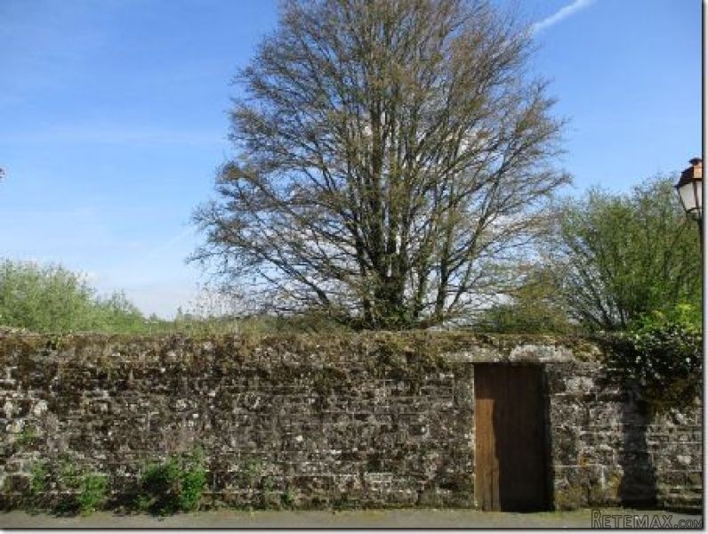 Village House in Great Location - 2
