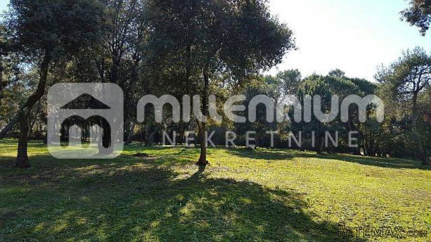 Istra, Rovinj, 12.000m2 atraktivno zemljište idealno za kamp - 2