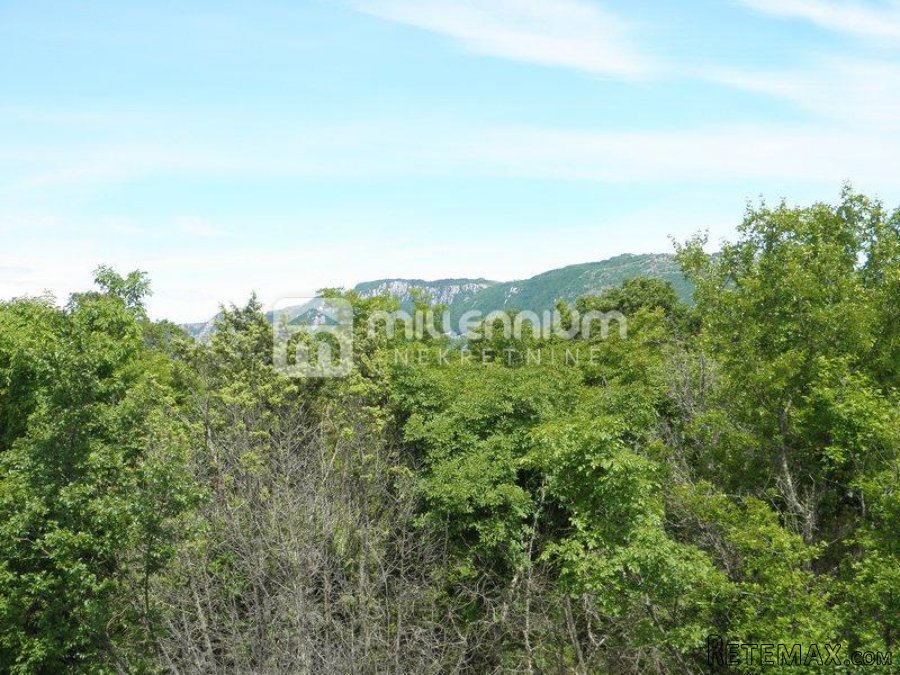 Istra, Sv. Nedelja, poljoprivredno zemljište od 44.000m2 - 2