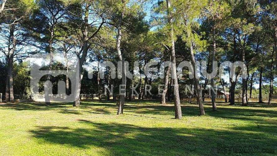Istra, Rovinj, 12.000m2 atraktivno zemljište idealno za kamp - 3