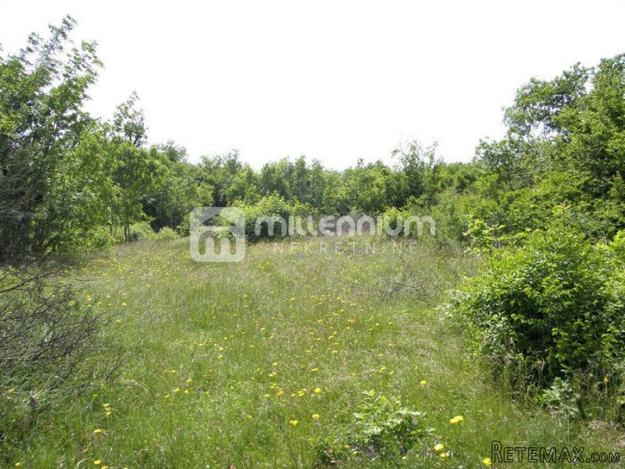 Istra, Sv. Nedelja, poljoprivredno zemljište od 44.000m2 - 3