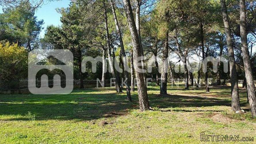 Istra, Rovinj, 12.000m2 atraktivno zemljište idealno za kamp - 4