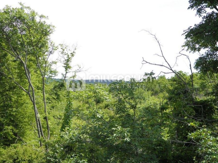 Istra, Sv. Nedelja, poljoprivredno zemljište od 44.000m2 - 4