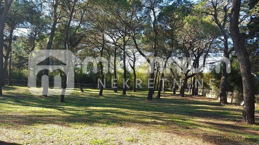 Istra, Rovinj, 12.000m2 atraktivno zemljište idealno za kamp - 5