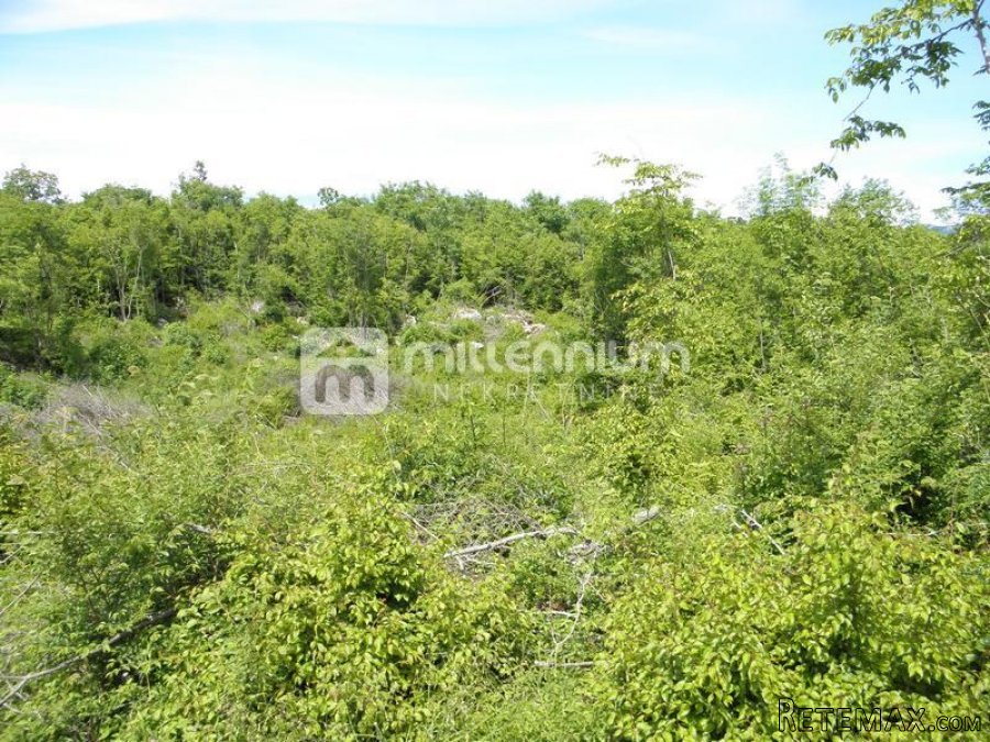 Istra, Sv. Nedelja, poljoprivredno zemljište od 44.000m2 - 6
