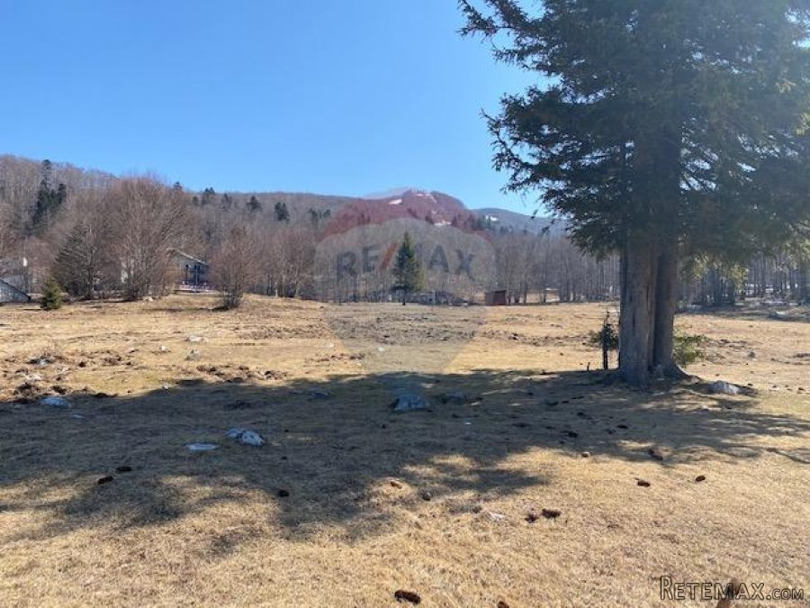 PLATAK - Građevinsko zemljište 4668 m2 - 6