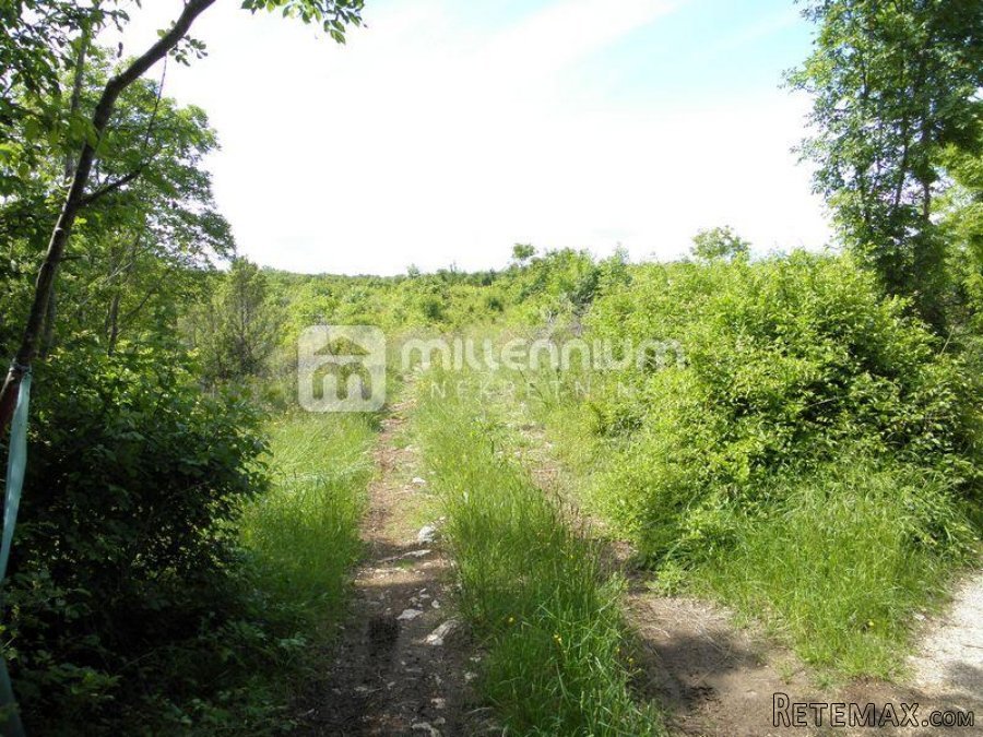 Istra, Sv. Nedelja, poljoprivredno zemljište od 44.000m2 - 7