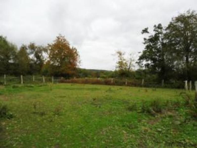 Ideal Equestrian Property - 2