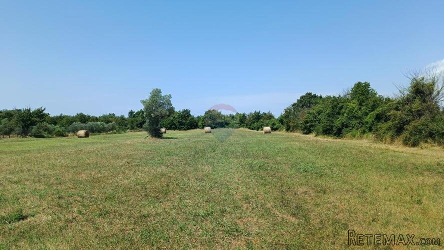 Istra, Juršići, Svetvičenat - 2