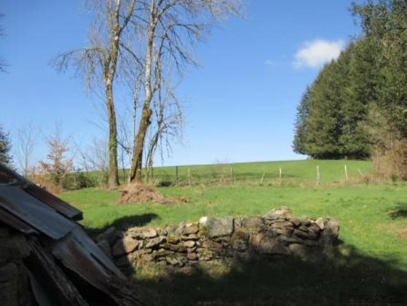 Vast Countryside House with Views - 2
