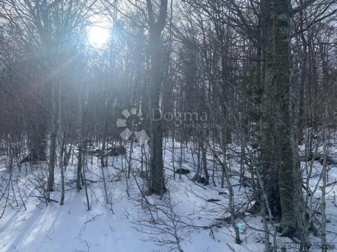 Građevinsko zemljište u blizini Liča - 3