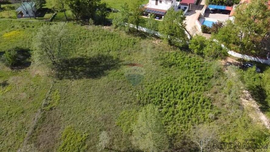 Istra, Višnjan, Okolica- veliko poljoprivredno zemljište 4 h - 3