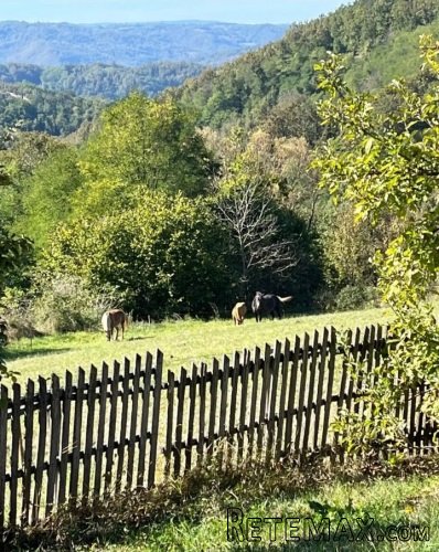Seosko imanje kod Požege sa izvorom - 3