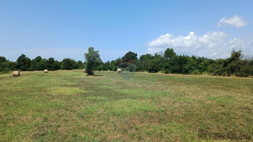 Istra, Juršići, Svetvičenat - 4