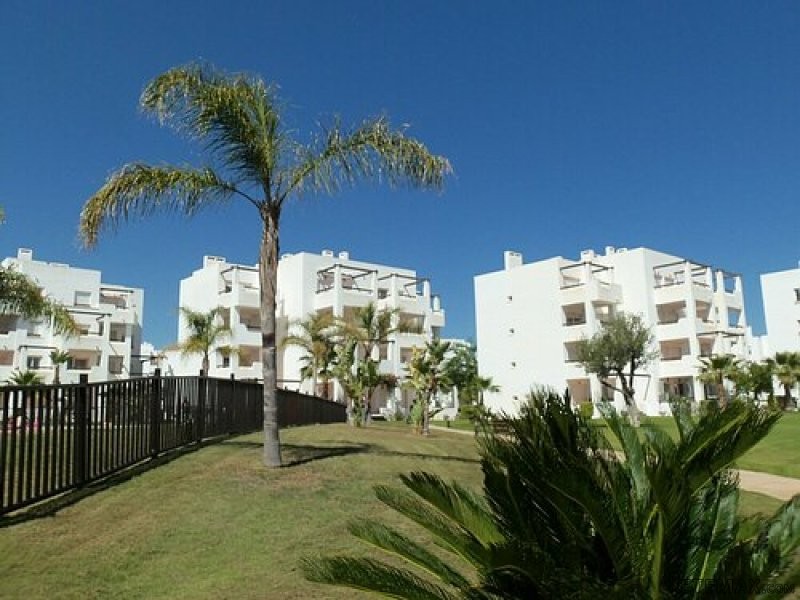 3 BED 2 BATH GOLF APARTMENT