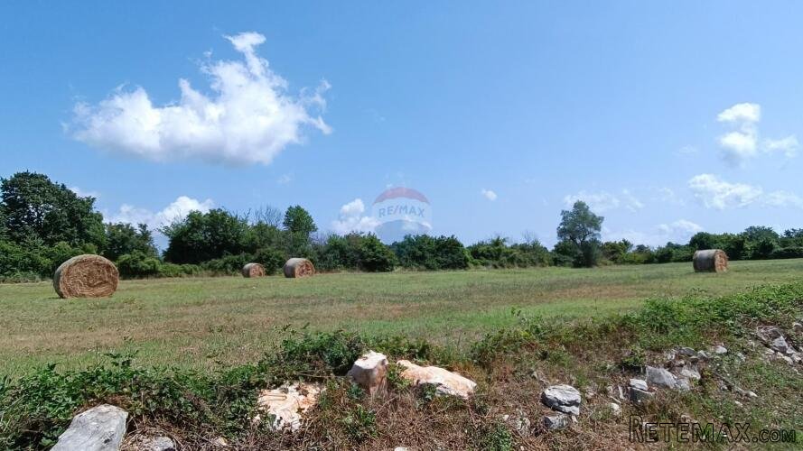 Istra, Juršići, Svetvičenat - 6