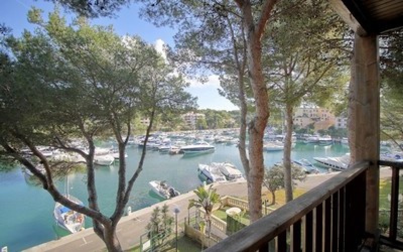 A fantastic investment opportunity: 5..