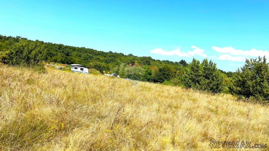 Istra, Novigrad - poljoprivredno zemljište blizu naselja - 2