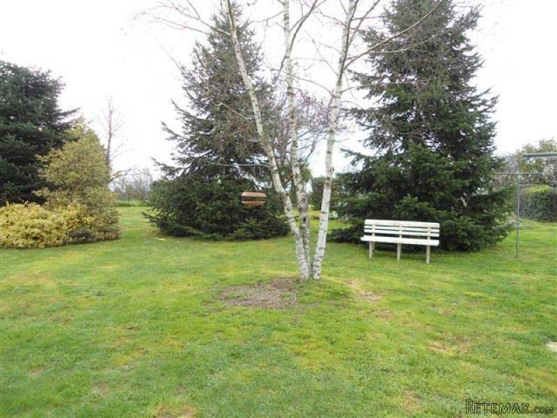 3 Bed Bungalow With Garden, Terrace And.. - 2