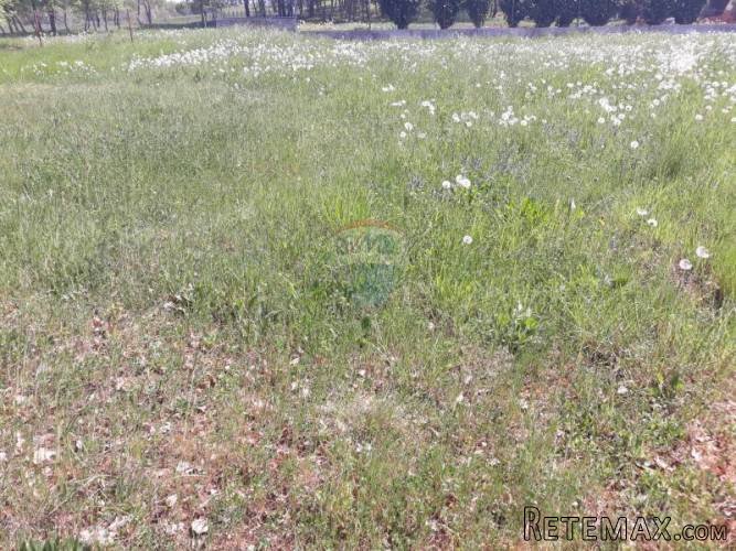 Istra, Oprtalj građevinsko zemljište - 3