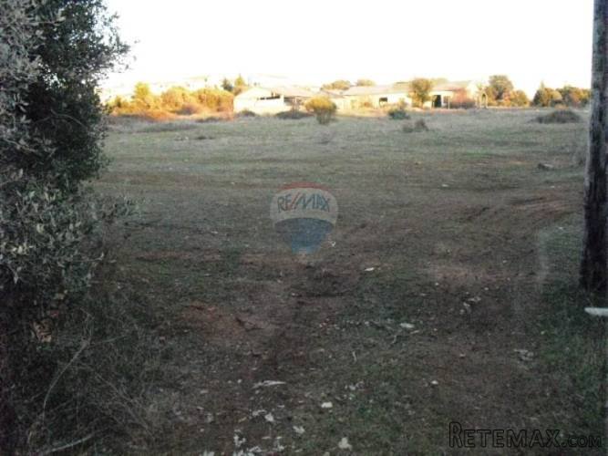 Istra, Barbariga, građevinsko zemljište - prilika za... - 5