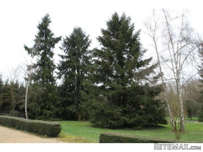 4 bedroom House For Sale: 86190 ENTRE.. - 2